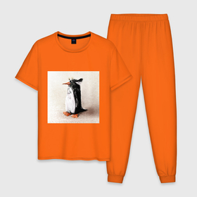 Мужская пижама хлопок с принтом Птица Пингвин в Тюмени, 100% хлопок | брюки и футболка прямого кроя, без карманов, на брюках мягкая резинка на поясе и по низу штанин
 | animal | art | drawing | illustration | penguin | print | арт | животные | иллюстрация | пингвин | принт