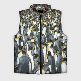 Мужской жилет утепленный 3D с принтом Пингвины | Penguins ,  |  | bird | birds | mammals | patern | pattern | penguin | penguins | млекопитающий | млекопмлекопитающие | патерн | паттерн | пенгвин | пингвин | пингвинчик | пингвинчики | птица | птицы