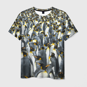 Мужская футболка 3D с принтом Пингвины | Penguins в Курске, 100% полиэфир | прямой крой, круглый вырез горловины, длина до линии бедер | bird | birds | mammals | patern | pattern | penguin | penguins | млекопитающий | млекопмлекопитающие | патерн | паттерн | пенгвин | пингвин | пингвинчик | пингвинчики | птица | птицы