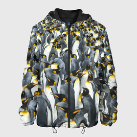 Мужская куртка 3D с принтом Пингвины | Penguins в Санкт-Петербурге, ткань верха — 100% полиэстер, подклад — флис | прямой крой, подол и капюшон оформлены резинкой с фиксаторами, два кармана без застежек по бокам, один большой потайной карман на груди. Карман на груди застегивается на липучку | bird | birds | mammals | patern | pattern | penguin | penguins | млекопитающий | млекопмлекопитающие | патерн | паттерн | пенгвин | пингвин | пингвинчик | пингвинчики | птица | птицы