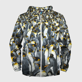 Мужская ветровка 3D с принтом Пингвины | Penguins , 100% полиэстер | подол и капюшон оформлены резинкой с фиксаторами, два кармана без застежек по бокам, один потайной карман на груди | bird | birds | mammals | patern | pattern | penguin | penguins | млекопитающий | млекопмлекопитающие | патерн | паттерн | пенгвин | пингвин | пингвинчик | пингвинчики | птица | птицы