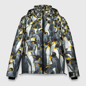 Мужская зимняя куртка 3D с принтом Пингвины | Penguins в Санкт-Петербурге, верх — 100% полиэстер; подкладка — 100% полиэстер; утеплитель — 100% полиэстер | длина ниже бедра, свободный силуэт Оверсайз. Есть воротник-стойка, отстегивающийся капюшон и ветрозащитная планка. 

Боковые карманы с листочкой на кнопках и внутренний карман на молнии. | Тематика изображения на принте: bird | birds | mammals | patern | pattern | penguin | penguins | млекопитающий | млекопмлекопитающие | патерн | паттерн | пенгвин | пингвин | пингвинчик | пингвинчики | птица | птицы