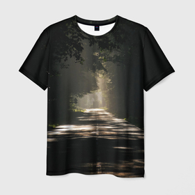 Мужская футболка 3D с принтом Тенистый путь , 100% полиэфир | прямой крой, круглый вырез горловины, длина до линии бедер | асфальт | деревья | дорога | дымка | лес | природа | рассвет | светлый | серый | солнечные лучи | тропа