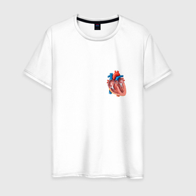 Мужская футболка хлопок с принтом Анатомия | Сердце в Новосибирске, 100% хлопок | прямой крой, круглый вырез горловины, длина до линии бедер, слегка спущенное плечо. | Тематика изображения на принте: анатомия | анатомия сердце | одежда с сердечками | одежда сердце | рисунок настоящего сердце | сердце | сердце настоящее | сердце настоящее футболка | сердце строение | футболка сердце