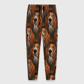 Мужские брюки 3D с принтом Dog patternt в Курске, 100% полиэстер | манжеты по низу, эластичный пояс регулируется шнурком, по бокам два кармана без застежек, внутренняя часть кармана из мелкой сетки | dog | дог | паттерн | пес | песик | псина | собака | собачки