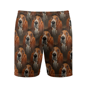 Мужские шорты спортивные с принтом Dog patternt в Белгороде,  |  | dog | дог | паттерн | пес | песик | псина | собака | собачки