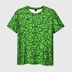 Мужская футболка 3D с принтом Кинза в Екатеринбурге, 100% полиэфир | прямой крой, круглый вырез горловины, длина до линии бедер | kinza | vegan | веган | дача | зелень | кориандр | листья | овощи | огород | паттерн | петрушка | пряность
