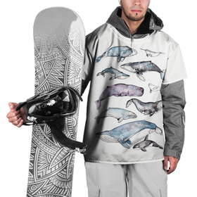 Накидка на куртку 3D с принтом киты акварелью в Тюмени, 100% полиэстер |  | Тематика изображения на принте: ocean | orca | sea | sea animal | whale | дельфин | касатка | кит | море | морские мотивы | морской фон | океан | рисунок кита