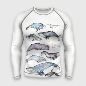 Мужской рашгард 3D с принтом киты акварелью в Курске,  |  | ocean | orca | sea | sea animal | whale | дельфин | касатка | кит | море | морские мотивы | морской фон | океан | рисунок кита