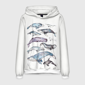 Мужская толстовка 3D с принтом киты акварелью в Санкт-Петербурге, 100% полиэстер | двухслойный капюшон со шнурком для регулировки, мягкие манжеты на рукавах и по низу толстовки, спереди карман-кенгуру с мягким внутренним слоем. | Тематика изображения на принте: ocean | orca | sea | sea animal | whale | дельфин | касатка | кит | море | морские мотивы | морской фон | океан | рисунок кита