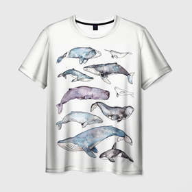 Мужская футболка 3D с принтом киты акварелью в Курске, 100% полиэфир | прямой крой, круглый вырез горловины, длина до линии бедер | Тематика изображения на принте: ocean | orca | sea | sea animal | whale | дельфин | касатка | кит | море | морские мотивы | морской фон | океан | рисунок кита