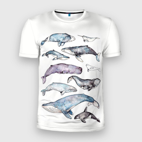 Мужская футболка 3D Slim с принтом киты акварелью в Петрозаводске, 100% полиэстер с улучшенными характеристиками | приталенный силуэт, круглая горловина, широкие плечи, сужается к линии бедра | ocean | orca | sea | sea animal | whale | дельфин | касатка | кит | море | морские мотивы | морской фон | океан | рисунок кита
