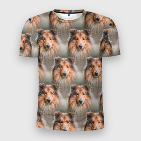 Мужская футболка 3D Slim с принтом Колли Собака паттерн в Санкт-Петербурге, 100% полиэстер с улучшенными характеристиками | приталенный силуэт, круглая горловина, широкие плечи, сужается к линии бедра | коли | колли | паттерн | пес | песик | собака | собачка