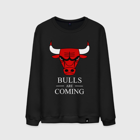 Мужской свитшот хлопок с принтом Chicago Bulls are coming Чикаго Буллз в Кировске, 100% хлопок |  | bulls | chicago | chicago bulls | nba | баскетбол | буллз | нба | чикаго | чикаго буллз
