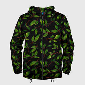 Мужская ветровка 3D с принтом яркие зеленые листья на черном фоне в Белгороде, 100% полиэстер | подол и капюшон оформлены резинкой с фиксаторами, два кармана без застежек по бокам, один потайной карман на груди | зеленые листья | зелень | лето | лист | листья