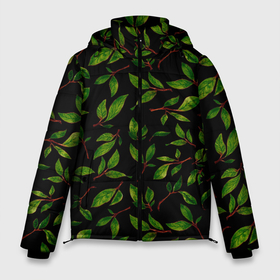 Мужская зимняя куртка 3D с принтом яркие зеленые листья на черном фоне в Тюмени, верх — 100% полиэстер; подкладка — 100% полиэстер; утеплитель — 100% полиэстер | длина ниже бедра, свободный силуэт Оверсайз. Есть воротник-стойка, отстегивающийся капюшон и ветрозащитная планка. 

Боковые карманы с листочкой на кнопках и внутренний карман на молнии. | зеленые листья | зелень | лето | лист | листья