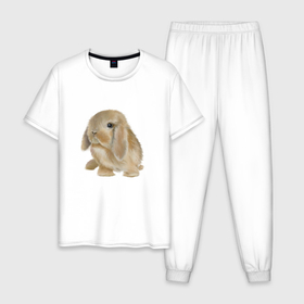 Мужская пижама хлопок с принтом Зайка милый в Новосибирске, 100% хлопок | брюки и футболка прямого кроя, без карманов, на брюках мягкая резинка на поясе и по низу штанин
 | грызун | животное | заяц | зверь | кролик | милота | шерсть