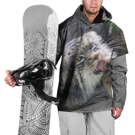 Накидка на куртку 3D с принтом Манул   Лапка в Петрозаводске, 100% полиэстер |  | cat | cats | всеядный | детеныш | дикие | звери | зверята | кот | котик | лапка | манул | медведь | милый | природа | хищник