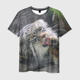 Мужская футболка 3D с принтом Манул   Лапка в Петрозаводске, 100% полиэфир | прямой крой, круглый вырез горловины, длина до линии бедер | cat | cats | всеядный | детеныш | дикие | звери | зверята | кот | котик | лапка | манул | медведь | милый | природа | хищник