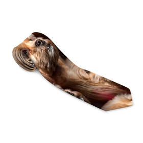 Галстук 3D с принтом мордочка песика в Тюмени, 100% полиэстер | Длина 148 см; Плотность 150-180 г/м2 | Тематика изображения на принте: мордочка | пес | песик | собака | собачка