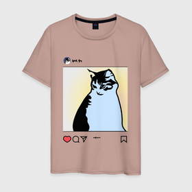 Мужская футболка хлопок с принтом кот инфлюенсер в Новосибирске, 100% хлопок | прямой крой, круглый вырез горловины, длина до линии бедер, слегка спущенное плечо. | животное | зверь | кот | котенок | котята | кошка | любимец | мило | милота | питомец | соц сети | фото