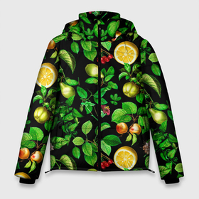 Мужская зимняя куртка 3D с принтом груши и лимоны в Курске, верх — 100% полиэстер; подкладка — 100% полиэстер; утеплитель — 100% полиэстер | длина ниже бедра, свободный силуэт Оверсайз. Есть воротник-стойка, отстегивающийся капюшон и ветрозащитная планка. 

Боковые карманы с листочкой на кнопках и внутренний карман на молнии. | груши | зеленые листья | лето | лимоны | листья | фрукты