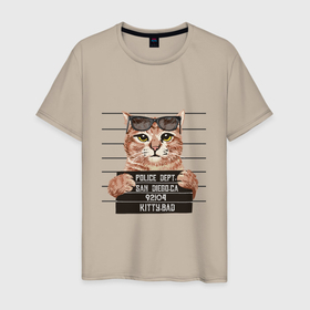 Мужская футболка хлопок с принтом Bad Cat кот плохиш в Кировске, 100% хлопок | прямой крой, круглый вырез горловины, длина до линии бедер, слегка спущенное плечо. | bad | cat | kitty | кот | кот в очках