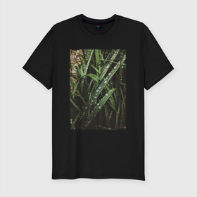 Мужская футболка хлопок Slim с принтом Роса На Траве В Лесу в Санкт-Петербурге, 92% хлопок, 8% лайкра | приталенный силуэт, круглый вырез ворота, длина до линии бедра, короткий рукав | лес | природа | растение | тайга | флора | цветы