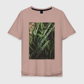 Мужская футболка хлопок Oversize с принтом Роса На Траве В Лесу в Санкт-Петербурге, 100% хлопок | свободный крой, круглый ворот, “спинка” длиннее передней части | лес | природа | растение | тайга | флора | цветы