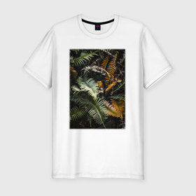 Мужская футболка хлопок Slim с принтом Папоротник В Лесу в Курске, 92% хлопок, 8% лайкра | приталенный силуэт, круглый вырез ворота, длина до линии бедра, короткий рукав | лес | природа | растение | тайга | флора | цветы