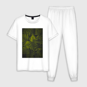 Мужская пижама хлопок с принтом Куст Папоротника в Курске, 100% хлопок | брюки и футболка прямого кроя, без карманов, на брюках мягкая резинка на поясе и по низу штанин
 | лес | природа | растение | тайга | флора | цветы