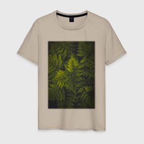 Мужская футболка хлопок с принтом Куст Папоротника в Белгороде, 100% хлопок | прямой крой, круглый вырез горловины, длина до линии бедер, слегка спущенное плечо. | лес | природа | растение | тайга | флора | цветы