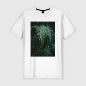 Мужская футболка хлопок Slim с принтом Зелёный Папоротник В Лесу в Курске, 92% хлопок, 8% лайкра | приталенный силуэт, круглый вырез ворота, длина до линии бедра, короткий рукав | лес | природа | растение | тайга | флора | цветы