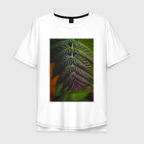 Мужская футболка хлопок Oversize с принтом Листья Макро в Екатеринбурге, 100% хлопок | свободный крой, круглый ворот, “спинка” длиннее передней части | Тематика изображения на принте: лес | природа | растение | тайга | флора | цветы