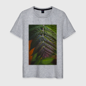 Мужская футболка хлопок с принтом Листья Макро в Ухте, 100% хлопок | прямой крой, круглый вырез горловины, длина до линии бедер, слегка спущенное плечо. | лес | природа | растение | тайга | флора | цветы