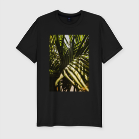Мужская футболка хлопок Slim с принтом Тропические Листья В Тени в Кировске, 92% хлопок, 8% лайкра | приталенный силуэт, круглый вырез ворота, длина до линии бедра, короткий рукав | Тематика изображения на принте: лес | природа | растение | тайга | флора | цветы