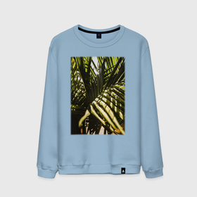 Мужской свитшот хлопок с принтом Тропические Листья В Тени в Тюмени, 100% хлопок |  | лес | природа | растение | тайга | флора | цветы