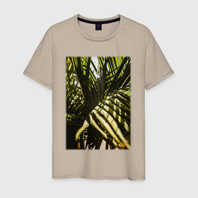 Мужская футболка хлопок с принтом Тропические Листья В Тени в Кировске, 100% хлопок | прямой крой, круглый вырез горловины, длина до линии бедер, слегка спущенное плечо. | Тематика изображения на принте: лес | природа | растение | тайга | флора | цветы