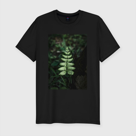 Мужская футболка хлопок Slim с принтом Папоротник Щитовник в Курске, 92% хлопок, 8% лайкра | приталенный силуэт, круглый вырез ворота, длина до линии бедра, короткий рукав | лес | природа | растение | тайга | флора | цветы