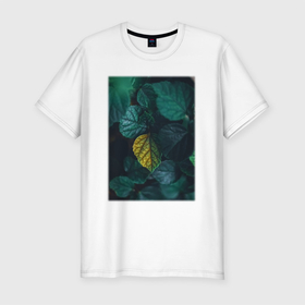 Мужская футболка хлопок Slim с принтом Темно   Зеленые Листья в Кировске, 92% хлопок, 8% лайкра | приталенный силуэт, круглый вырез ворота, длина до линии бедра, короткий рукав | лес | природа | растение | тайга | флора | цветы