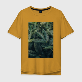 Мужская футболка хлопок Oversize с принтом Роса На Листьях в Тюмени, 100% хлопок | свободный крой, круглый ворот, “спинка” длиннее передней части | Тематика изображения на принте: лес | природа | растение | тайга | флора | цветы
