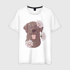 Мужская футболка хлопок с принтом Собачка с ромашкой в Новосибирске, 100% хлопок | прямой крой, круглый вырез горловины, длина до линии бедер, слегка спущенное плечо. | милая | пес | ромашка | собака | собачка | цветочек