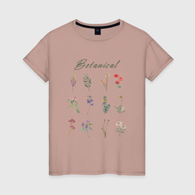 Женская футболка хлопок с принтом Botanical разные растения ботаника в Новосибирске, 100% хлопок | прямой крой, круглый вырез горловины, длина до линии бедер, слегка спущенное плечо | ботаника | ботанический | весенний | весна | для девушек | для девушки | для женщин | для женщины | летний | лето | люблю растения | люблю цветы | растение | растения | растительный | с цветами | сад
