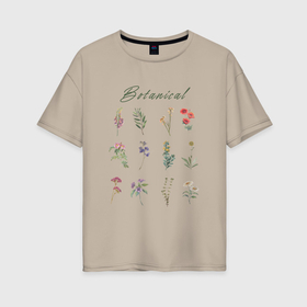 Женская футболка хлопок Oversize с принтом Botanical разные растения ботаника в Екатеринбурге, 100% хлопок | свободный крой, круглый ворот, спущенный рукав, длина до линии бедер
 | ботаника | ботанический | весенний | весна | для девушек | для девушки | для женщин | для женщины | летний | лето | люблю растения | люблю цветы | растение | растения | растительный | с цветами | сад
