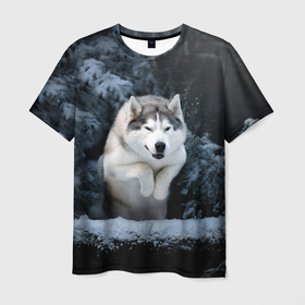 Мужская футболка 3D с принтом Хаски в зимнем лесу, Husky в Екатеринбурге, 100% полиэфир | прямой крой, круглый вырез горловины, длина до линии бедер | dog | животные | пес | природа | собака | собаки | собакчка | собачки | хаска | хаски