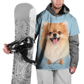 Накидка на куртку 3D с принтом Щенок Померанского Шпица , 100% полиэстер |  | Тематика изображения на принте: голубая | померанский | рыжий | с принтом собаки | с собаками | с собакой | со шпицем | со щенком | собака | шпиц | щенок