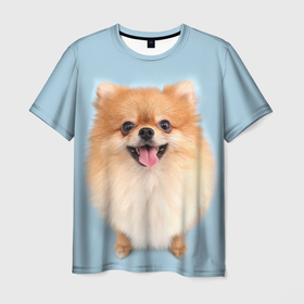 Мужская футболка 3D с принтом Щенок Померанского Шпица , 100% полиэфир | прямой крой, круглый вырез горловины, длина до линии бедер | голубая | померанский | рыжий | с принтом собаки | с собаками | с собакой | со шпицем | со щенком | собака | шпиц | щенок