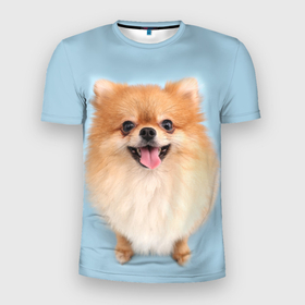 Мужская футболка 3D Slim с принтом Щенок Померанского Шпица в Екатеринбурге, 100% полиэстер с улучшенными характеристиками | приталенный силуэт, круглая горловина, широкие плечи, сужается к линии бедра | голубая | померанский | рыжий | с принтом собаки | с собаками | с собакой | со шпицем | со щенком | собака | шпиц | щенок