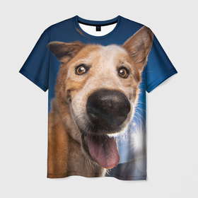 Мужская футболка 3D с принтом Собакен   улыбка в Екатеринбурге, 100% полиэфир | прямой крой, круглый вырез горловины, длина до линии бедер | домашние | животные | звери | нос | прикольная | собака | улыбка