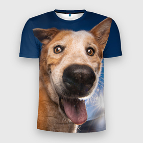 Мужская футболка 3D Slim с принтом Собакен   улыбка в Екатеринбурге, 100% полиэстер с улучшенными характеристиками | приталенный силуэт, круглая горловина, широкие плечи, сужается к линии бедра | Тематика изображения на принте: домашние | животные | звери | нос | прикольная | собака | улыбка
